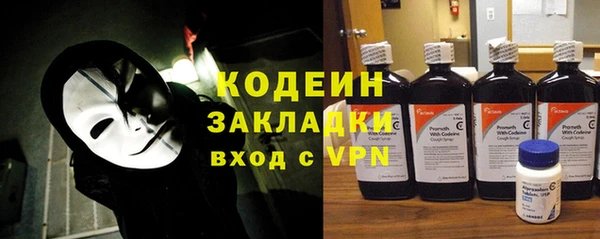 амф Ладушкин