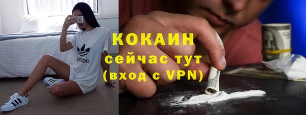 амф Ладушкин