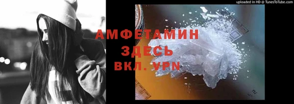 амф Ладушкин