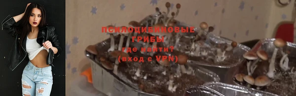 амф Ладушкин