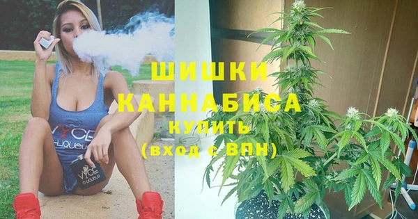 амф Ладушкин
