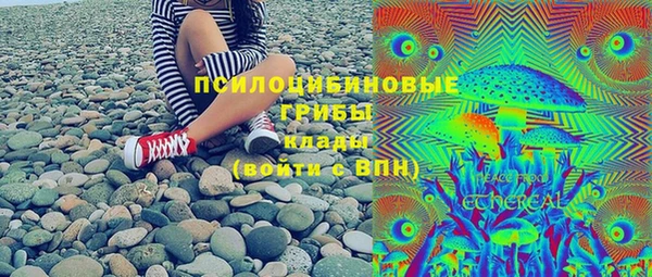 амф Ладушкин