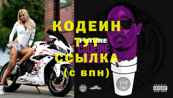 амф Ладушкин