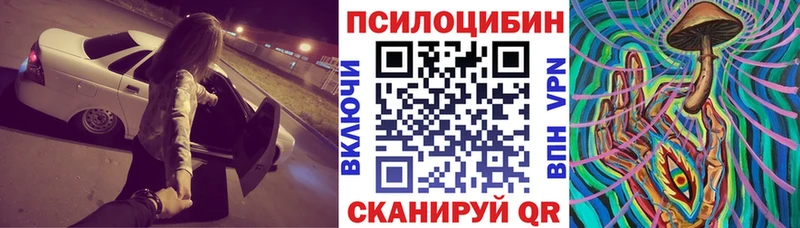 МЕГА зеркало  Чистополь  Галлюциногенные грибы MAGIC MUSHROOMS 